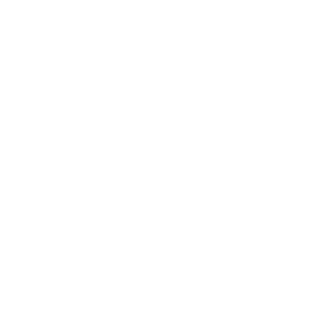PUNCH PROMO